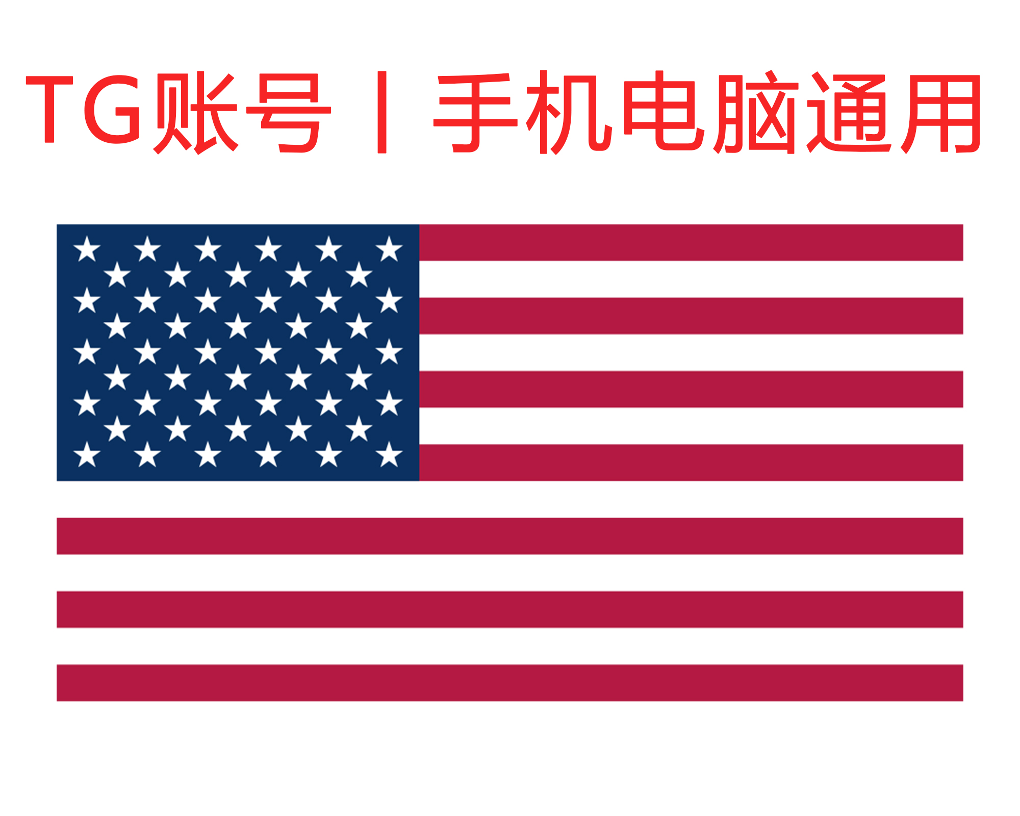 飞机号 (美国) 精养一年+号｜手机+电脑可登